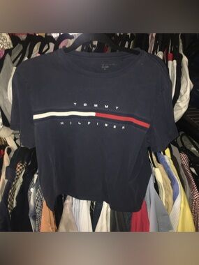 Vintage Tommy Crop Top